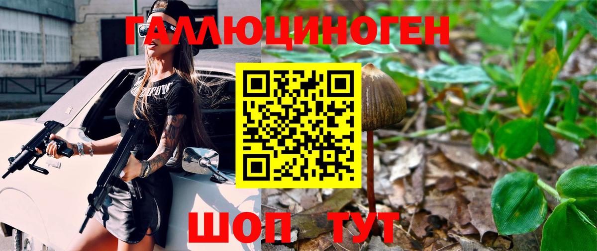 Галлюциногенные грибы Cubensis Чернушка
