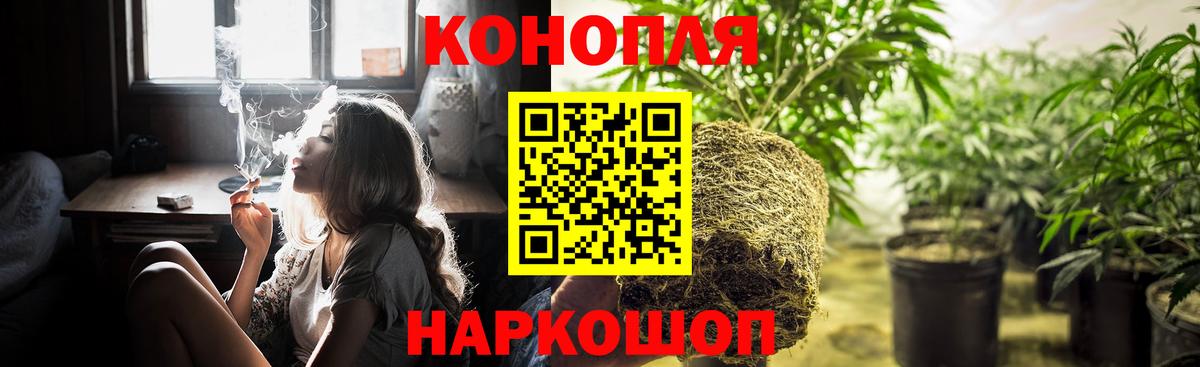 Шишки марихуана план Чернушка